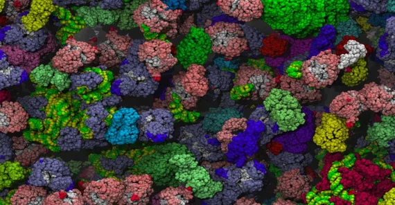 In the “molecule soup” of cells, it is “like on a train platform after a football match. They all bump into each other,” the physicist says. Picture: Adrian Elcock