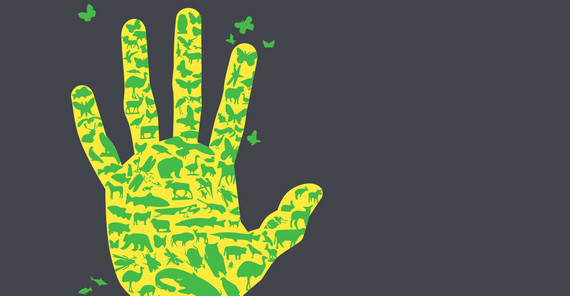 Looking for New Paths in the Discussion of Climate Change Illustration: Yellow handprint with different green animal silhouettes on dark gray background.