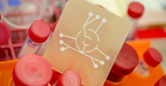 The „heart“ of the rapid water test system. Photo: Thomas Roese.