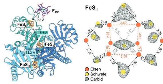 Grafics with Electron microscopy structure of noval iron-sulfur cofactors