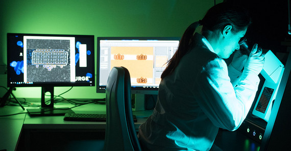 Arbeiten am Mikroskop Arbeiten am Mikroskop