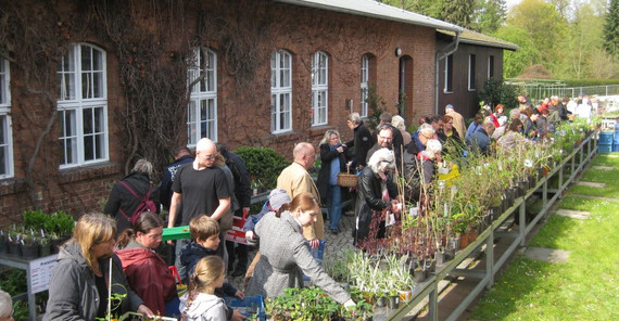 Basar Menschen, die sich Pflanzen anschauen