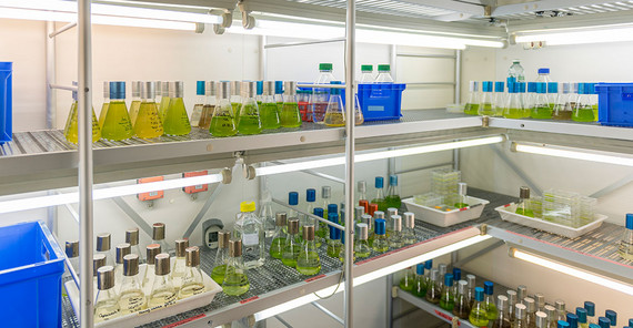 The walk-in sample chamber from the "DynaTrait" project.