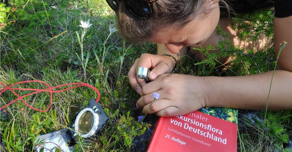 Frau beugt sich über eine Pflanze und betrachtet sie durch eine Lupe