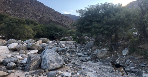 Unterwegs in den Anden | Bodo Bookhagen Das Bild zeigt die Stufenbecken im Rio de la Paya als Folge eines extremen Niederschlags- und Abflussereignisses. Das Foto ist von Bodo Bookhagen. Beim Anklicken öffnet sich das Bild im neuen Fenster.