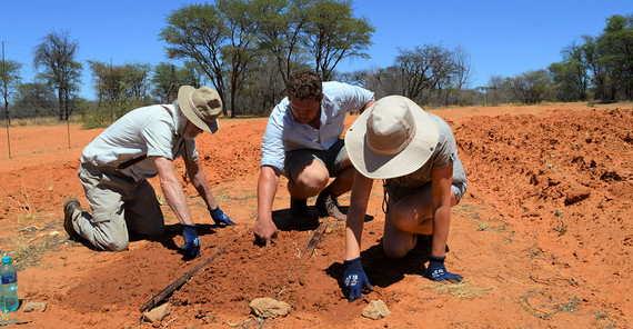 Prüfung von Bodeneigenschaften für die Maiseinsaat in der Kalahari Prüfung von Bodeneigenschaften für die Maiseinsaat in der Kalahari