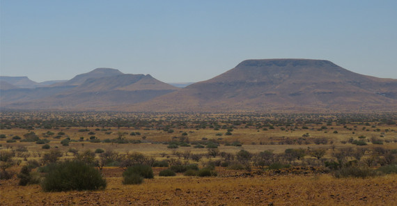 Savannenvegetation im südlichen Afrika Savannenvegetation im südlichen Afrika