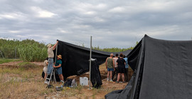 Schwarze Sonnenschutzzelte werden von mehreren Studierenden abgebaut.