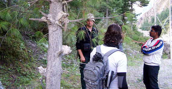 Schutt und Schlamm in den Astgabeln der Bäume 20 Meter über dem Fluss. Schutt und Schlamm in den Astgabeln der Bäume 20 Meter über dem Fluss.
