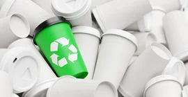 Bioökonomie fängt beim Kaffeebecher an. Abgebildet sind viele weiße Kaffeebecher und ein grüner Kaffeebecher mittig. Foto: Adobe Stock/ Robert Kneschke
