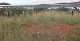 Versuchsgelände in Südafrika. Unter einem einfachen Dach im Freien erkennt man eine kahle Stelle in der Vegetation am Boden.