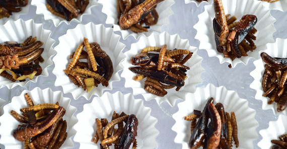 Sind Insekten das Nahrungsmittel der Zukunft? Ernährungswissenschaftler Florian Schweigert spricht sich dafür aus – und hat ein Buch darüber geschrieben. | Foto: Karla Fritze Sind Insekten das Nahrungsmittel der Zukunft? Ernährungswissenschaftler Florian Schweigert spricht sich dafür aus – und hat ein Buch darüber geschrieben. | Foto: Karla Fritze