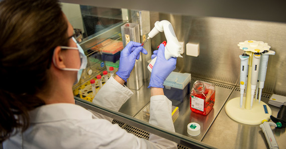 Die Arbeitsgruppe von Katja Hanack hat ein neuartiges Testsystem für das SARSCoV-2-Virus entwickelt. | Foto: Tobias Hopfgarten Die Arbeitsgruppe von Katja Hanack hat ein neuartiges Testsystem für das SARSCoV-2-Virus entwickelt. | Foto: Tobias Hopfgarten