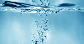 Zwei Potsdamer Forschende sind am neuen internationalen Zentrum für Molekulare Wasserforschung beteiligt, das nun sein Forschungsprogramm veröffentlicht hat. | Foto: AdobeStock/magann