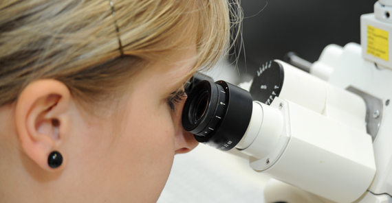 Foto: Karla Fritze Foto: Karla Fritze