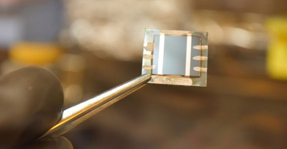 Foto einer an der Uni Potsdam hergestellten Perowskit-Solarzelle | Foto: privat Foto einer an der Uni Potsdam hergestellten Perowskit-Solarzelle | Foto: privat