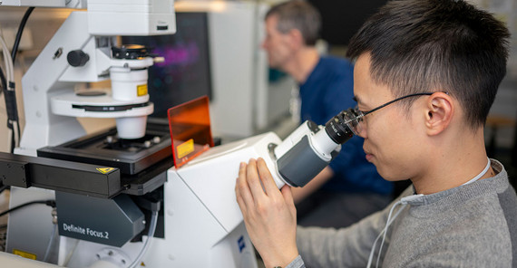 Van-Cuong Pham ist Doktorand am Institut für Biologie und Biochemie. Van-Cuong Pham sitzt an einem Mikroskop.