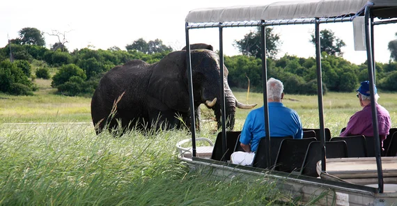 Elefant steht vor einem Safari-Fahrzeug, in dem zwei Personen sitzen.