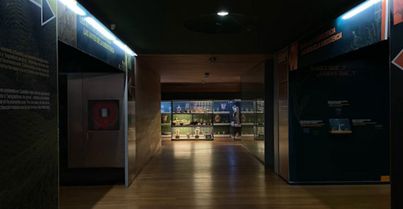 Gang im Museum in Castellon