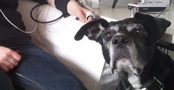 Image: Anne Springer Image: Anne Springer