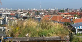 Grünfläche auf dem Kulturdachgarten Klunkerkranich.