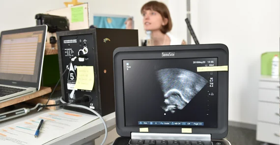 The experiments investigate the movement of the tongue, among other things. Photo: Karla Fritze