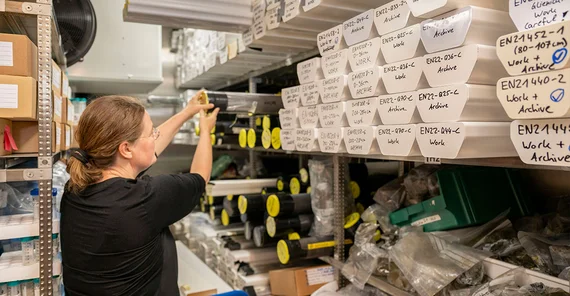 In the laboratory at the AWI, drill cores from numerous locations around the world are stored and analyzed.