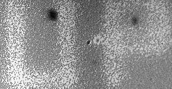 Foto: Initialen der Universität Potsdam, geschrieben in der Monolage von Mikropartikeln. Foto: Prof. Dr. Svetlana Santer. Foto: Initialen der Universität Potsdam, geschrieben in der Monolage von Mikropartikeln. Foto: Prof. Dr. Svetlana Santer.